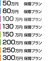 「千の風」保険金定額タイプの説明