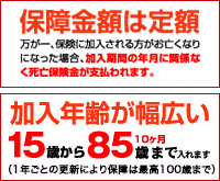 「千の風」保険金定額タイプの説明