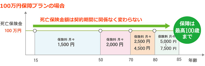 年齢ごとの毎月の保険料図