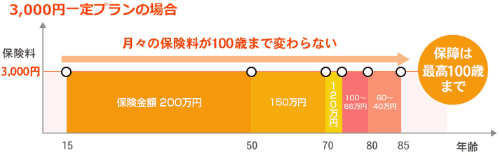 毎月の保険料（月払）　※月払3,000円一定プランの場合